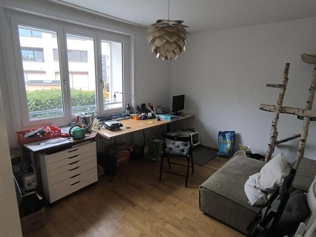 Apartment mieten in Liebefeld, Köniz