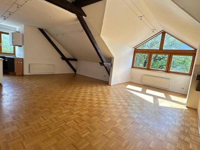 Apartment mieten in Golling, Torren
