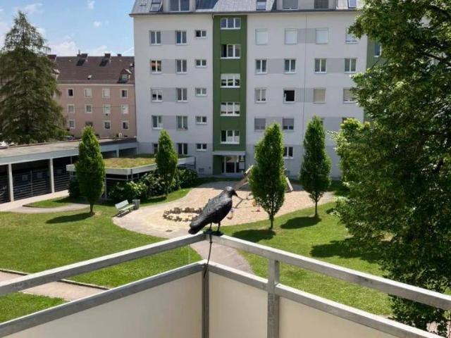 Apartment kaufen in Urfahr, Linz