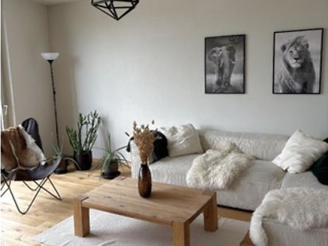 Apartment mieten in Biel, Bern