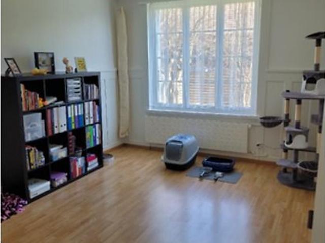 Apartment mieten in Rüfenacht (BE), Bern