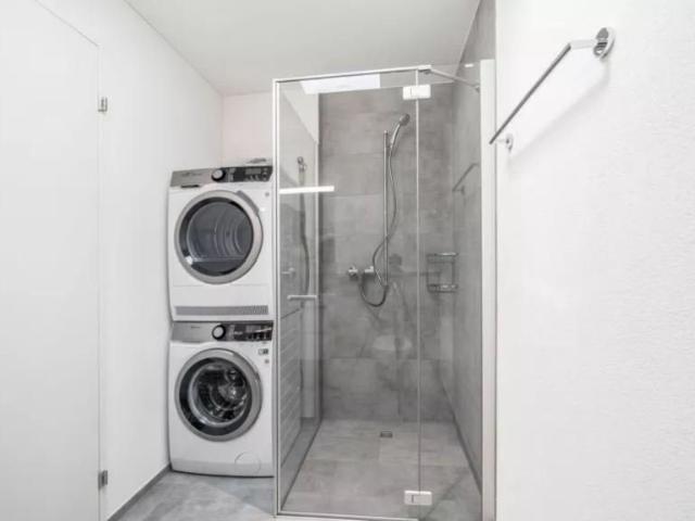 Apartment mieten in Feuerthalen, Zürich
