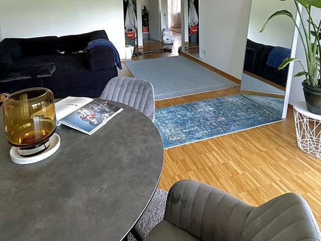 Apartment mieten in Hünenberg, Zug