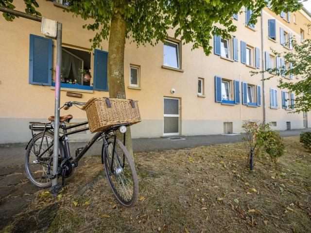Apartment mieten in Kaiserslautern, Rheinland-Pfalz