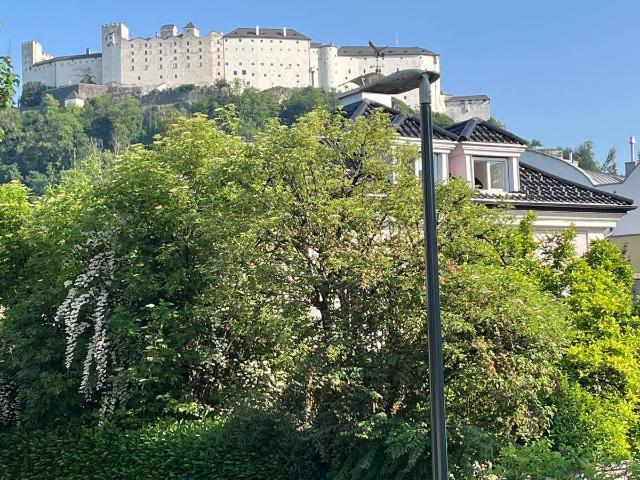 Apartment mieten in Salzburg, Nonntal