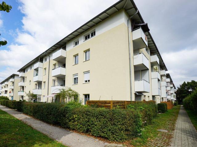 Apartment mieten in Schwanenstadt, Bezirk Vöcklabruck