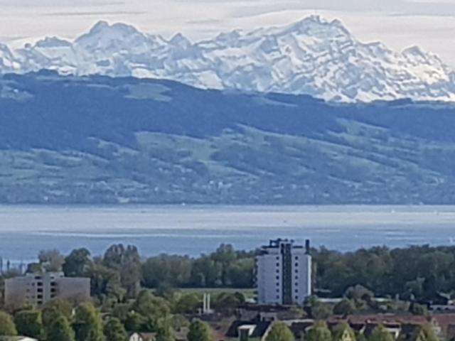 Wohnung mieten in Langenargen, Baden-Württemberg