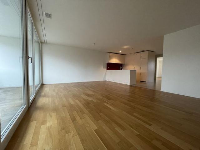 Apartment mieten in Windisch, Aargau
