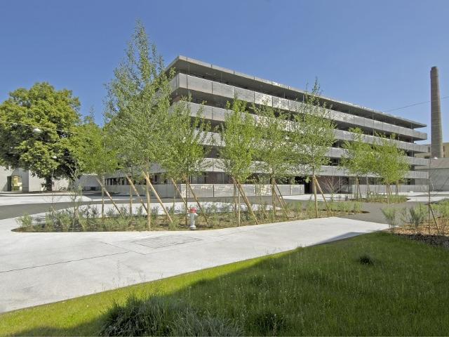 Apartment mieten in Winterthur, Zürich