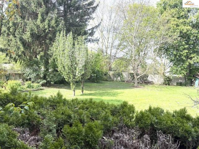 Wohnung kaufen in Neunkirchen, Niederösterreich