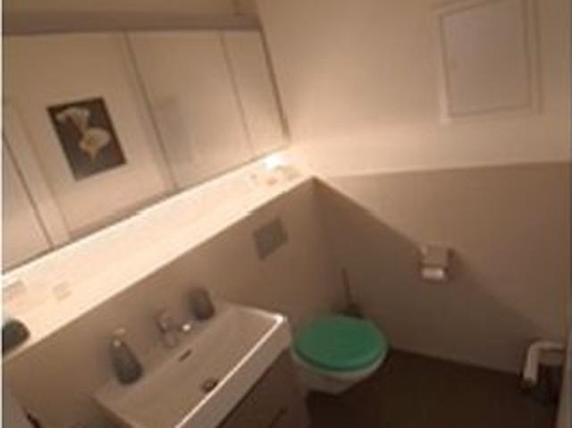 Apartment mieten in Einigen, Zürich