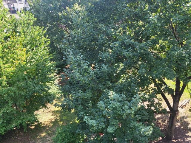 Wohnung mieten in Leverkusen, Nordrhein-Westfalen