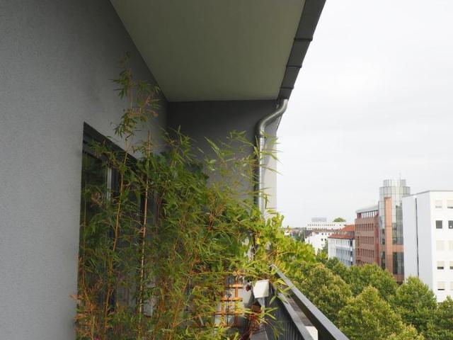 Wohnung mieten in Mitte, Dortmund