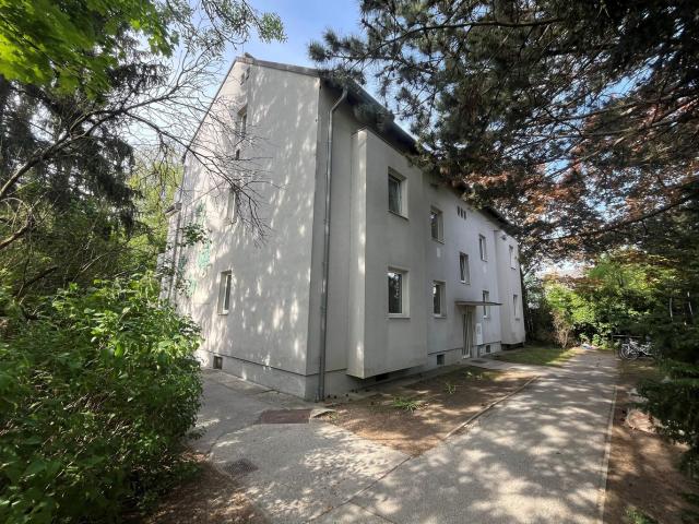 Wohnung mieten in Baden, Niederösterreich