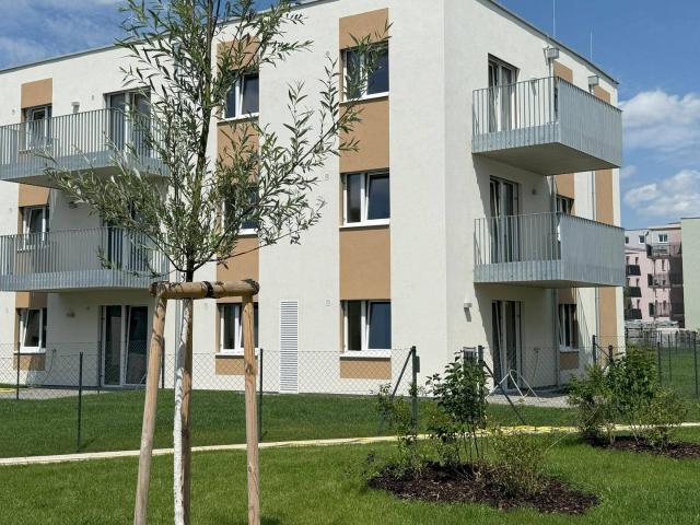 Apartment mieten in Musikantenviertel (Gartenstadt), Wiener Neustadt