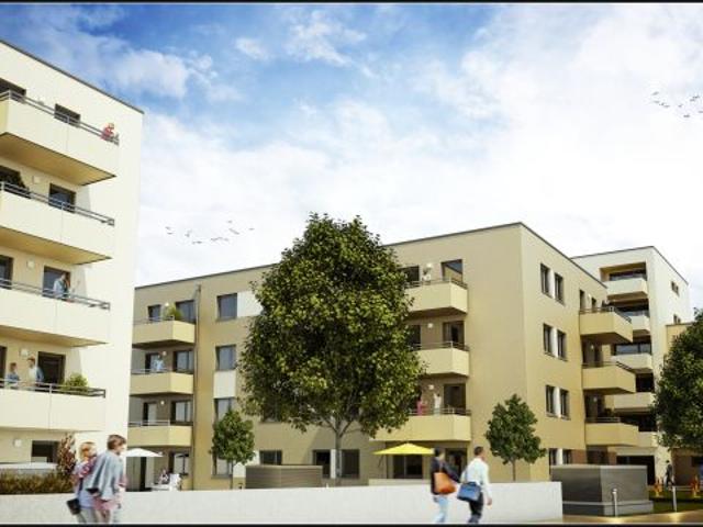 Wohnung mieten in Wiener Neustadt, Niederösterreich