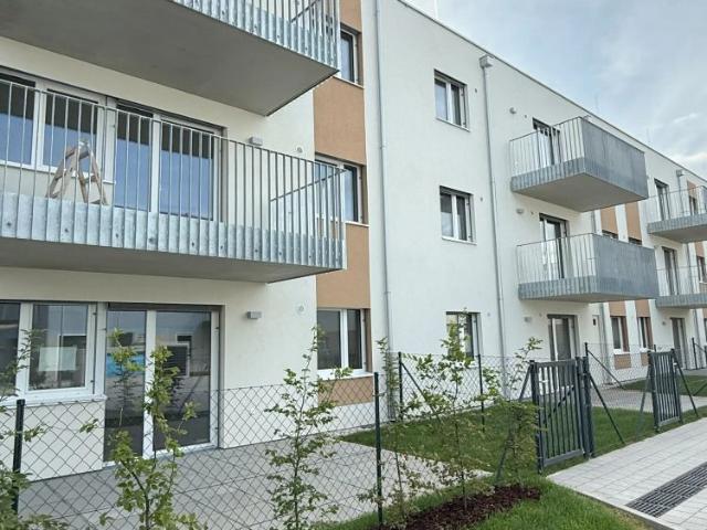 Apartment mieten in Wiener Neustadt, Niederösterreich