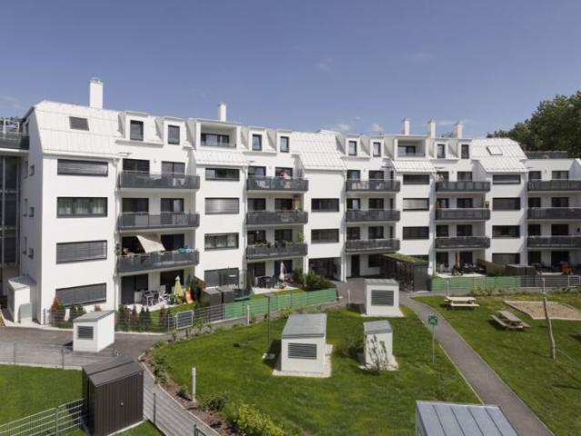 Wohnung mieten in Wiener Neustadt, Niederösterreich