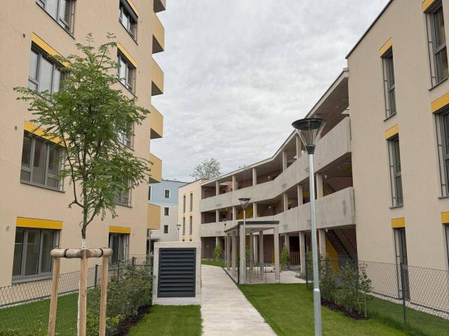 Apartment mieten in Musikantenviertel (Gartenstadt), Wiener Neustadt