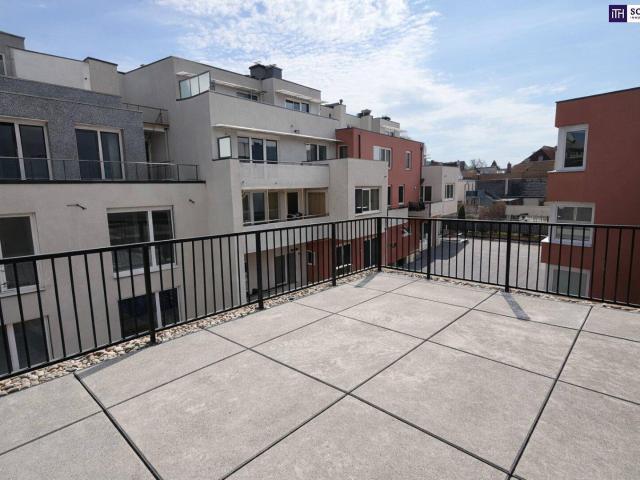 Apartment kaufen in Groß-Enzersdorf, Niederösterreich
