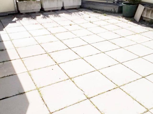 Apartment mieten in Zistersdorf, Niederösterreich