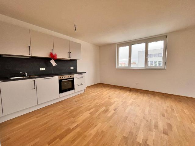 Apartment mieten in Kaindorf an der Sulm