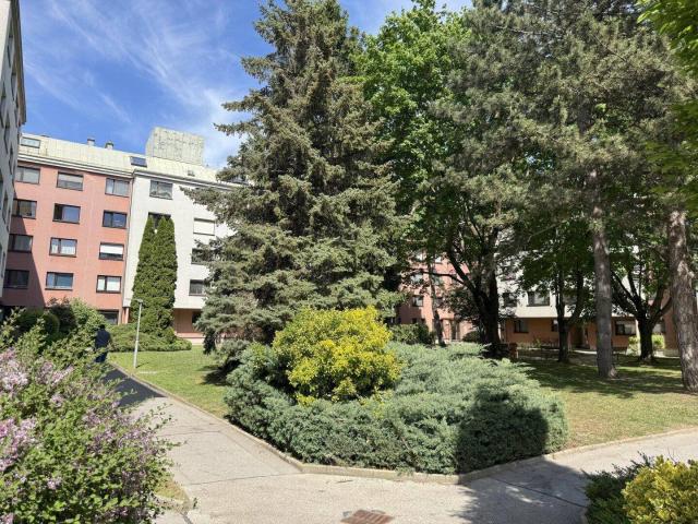 Apartment kaufen in Liesing, Wien