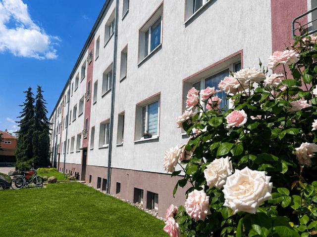 Wohnung mieten in Beilrode, Sachsen