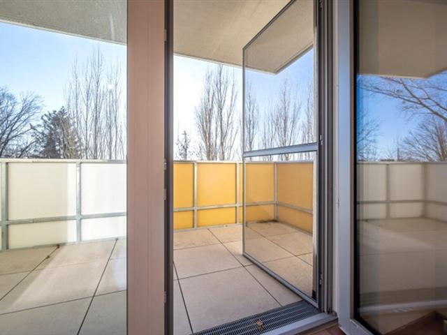 Wohnung mieten in Eisenstadt, Burgenland