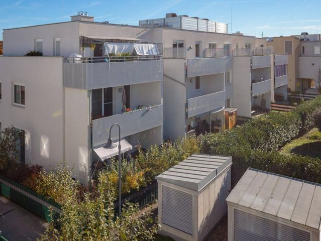 Apartment mieten in Atzenbrugg, Niederösterreich