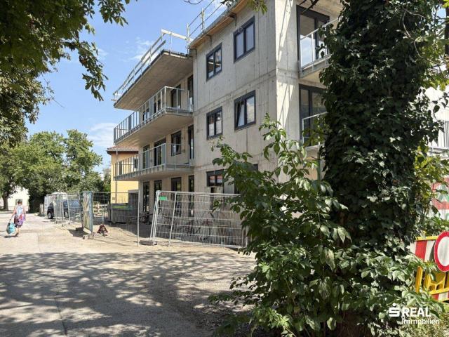Apartment kaufen in Hall in Tirol, Tirol
