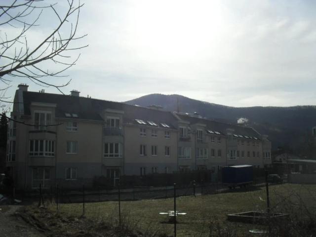 Apartment mieten in Katastralgemeinde Traisen, Traisen