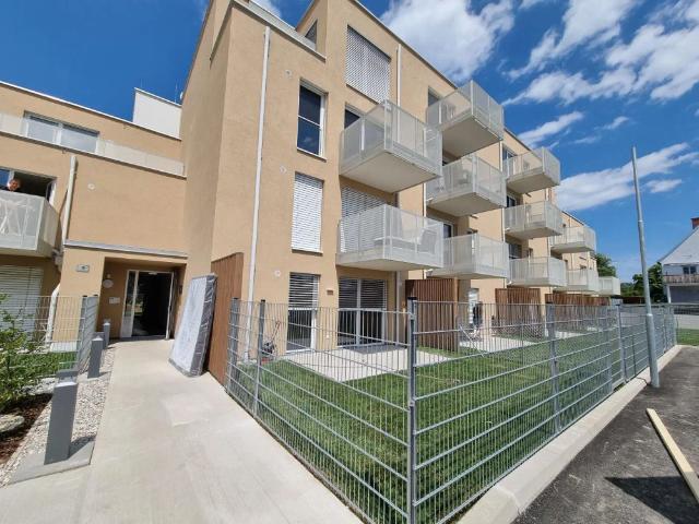 Apartment mieten in Wiener Neustadt, Niederösterreich