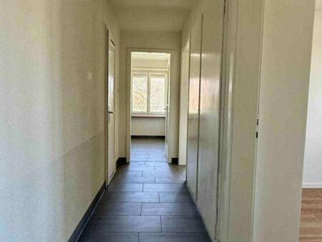 Apartment mieten in Schwarzenbach (SG), St. Gallen