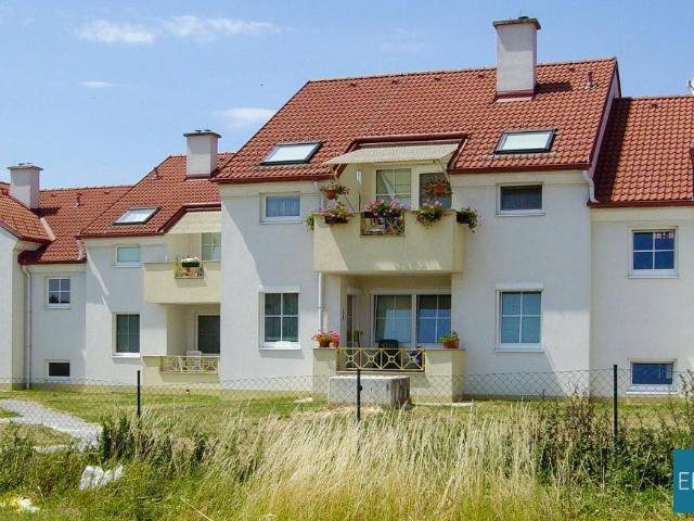 Apartment mieten in Deutschkreutz, Burgenland