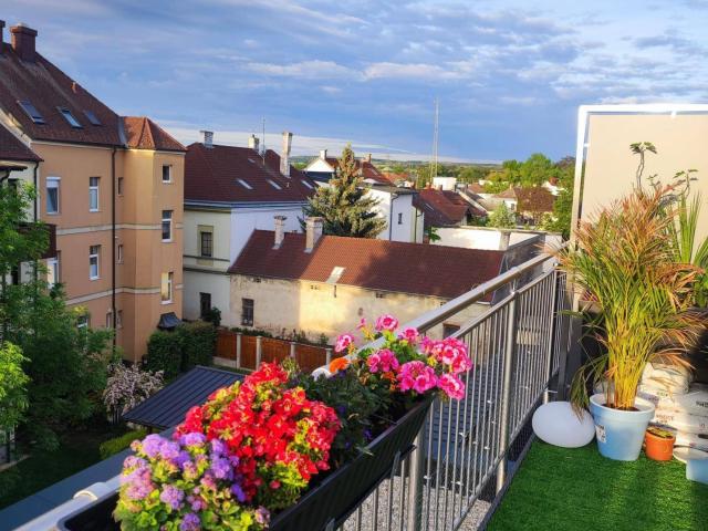 Apartment mieten in Magersdorf, Hollabrunn