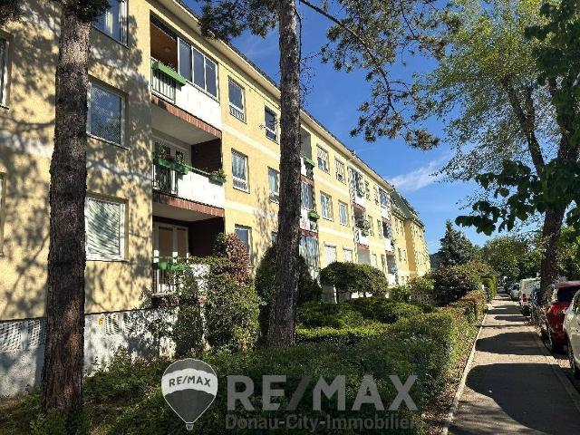 Apartment kaufen in Mödling, Niederösterreich