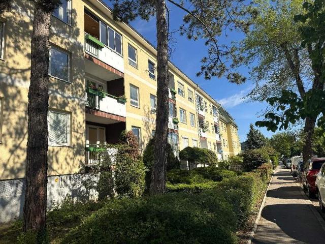 Wohnung kaufen in Mödling, Niederösterreich