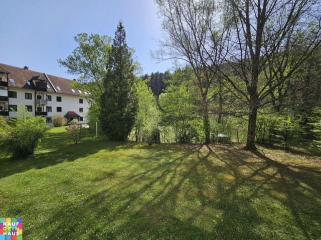 Wohnung mieten in Eisbach, Steiermark