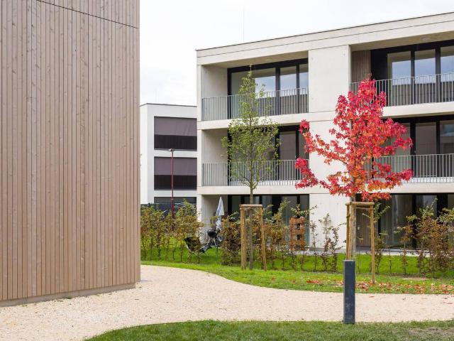 Apartment kaufen in Höchst