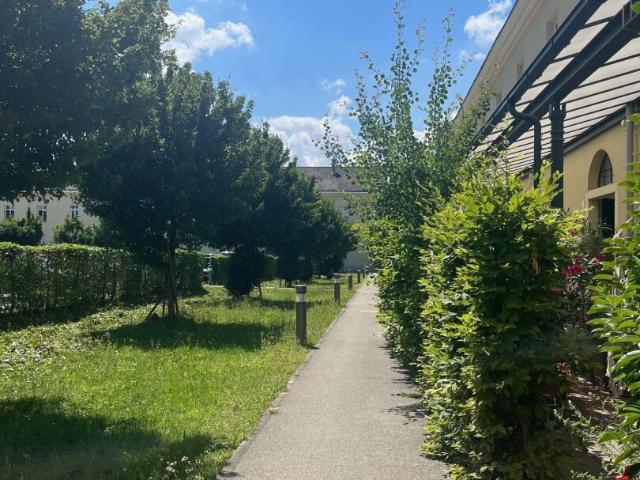 Apartment mieten in Wels, Oberösterreich