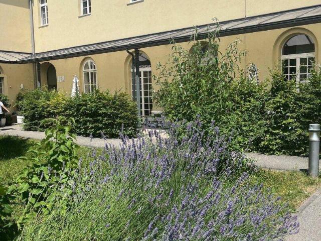 Apartment mieten in Wels, Oberösterreich