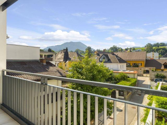 Apartment kaufen in St. Veit an der Glan, Kärnten