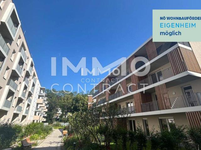 Apartment kaufen in Weitern, St. Pölten