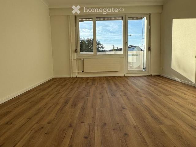 Apartment mieten in Zur Säge, Greifensee
