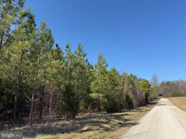 Land for sale in Virginia