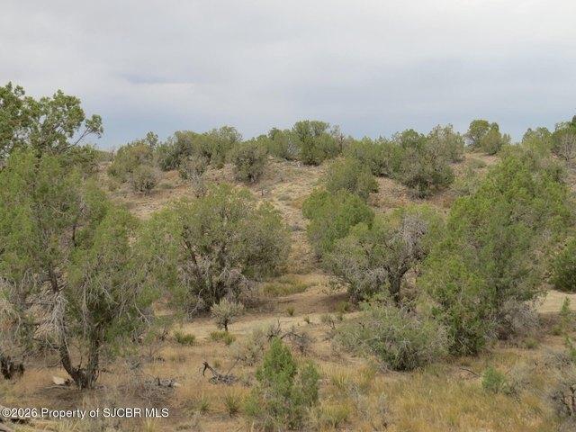 Land for sale in Aztec, New Mexico