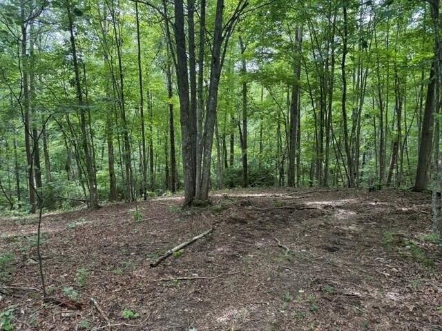 Land for sale in Tennessee