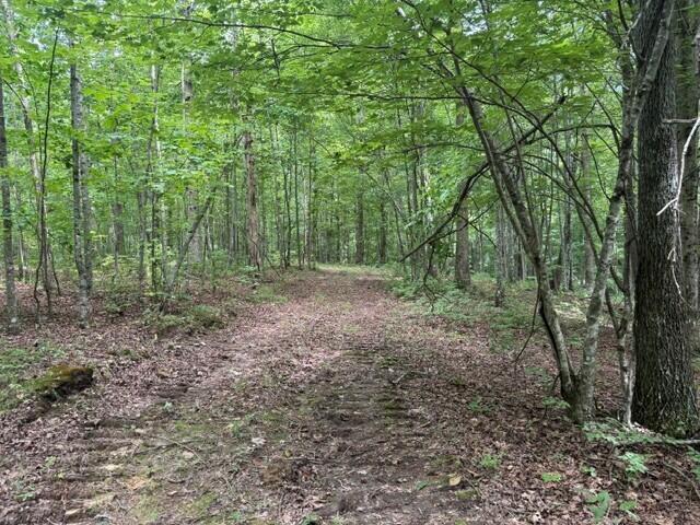 Land for sale in Tennessee