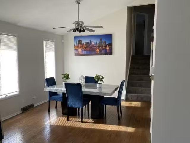 House for rent in Bedford Park